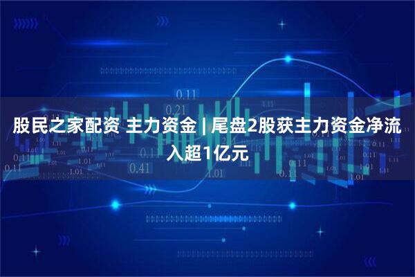 股民之家配资 主力资金 | 尾盘2股获主力资金净流入超1亿元