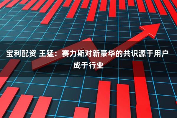 宝利配资 王猛：赛力斯对新豪华的共识源于用户 成于行业