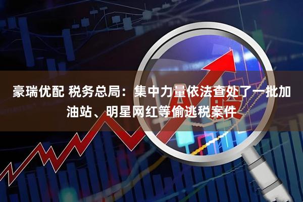 豪瑞优配 税务总局：集中力量依法查处了一批加油站、明星网红等偷逃税案件