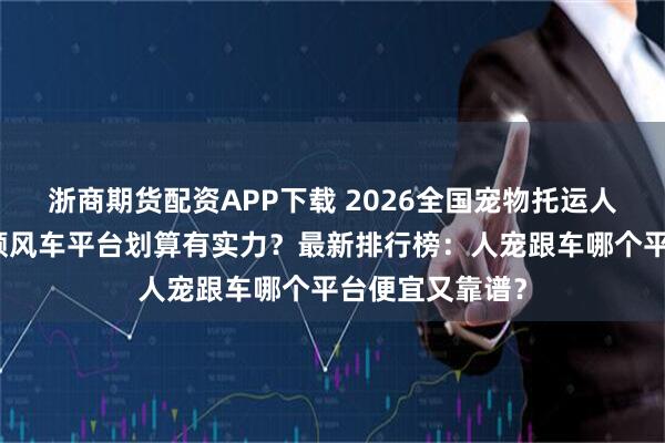 浙商期货配资APP下载 2026全国宠物托运人宠同行找哪个顺风车平台划算有实力？最新排行榜：人宠跟车哪个平台便宜又靠谱？